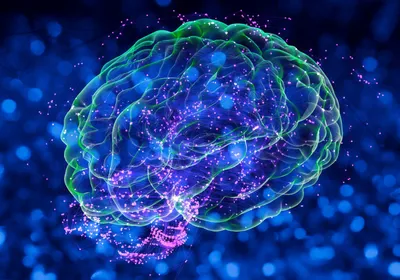 Conceptual 3D image of Alzheimer’s disease, depicting a green brain with small pink and large blue particles in the background. Conceptual 3D image of Alzheimer’s disease, depicting a green brain with small pink and large blue particles in the background.