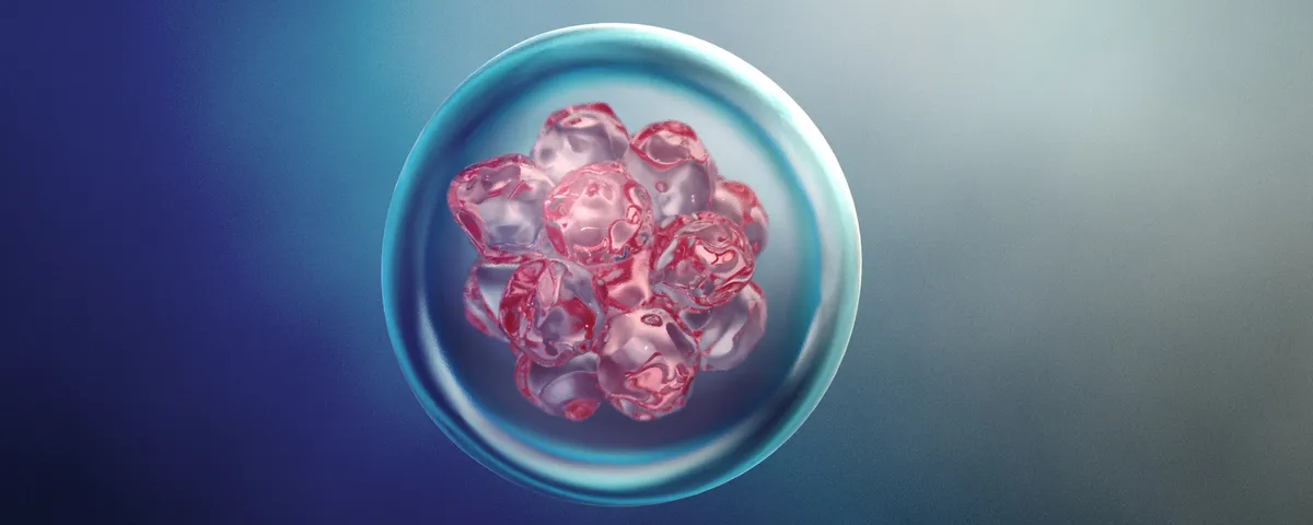 The Promise of Stem Cells: From Healing Hearts to Protecting Pandas The Promise of Stem Cells: From Healing Hearts to Protecting Pandas