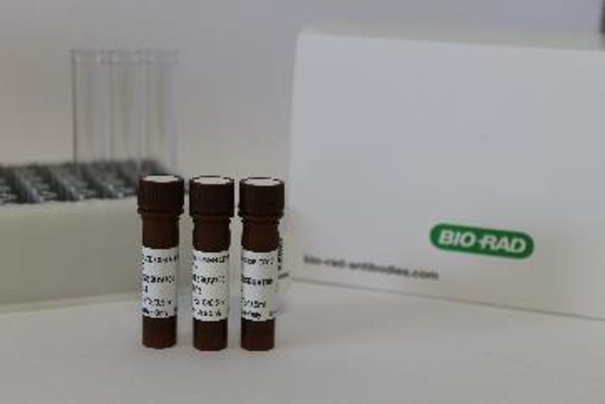 Bio-Rad New StarBright Dyes