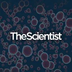 Unraveling Autophagy’s Complex Role in Cancer