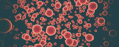 Unraveling Autophagy’s Complex Role in Cancer