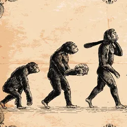 Classic representative image of primate evolution from quadrupeds to bipeds on a vintage, neutral toned background.