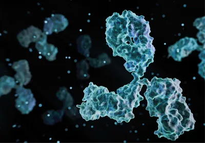 A 3D rendered image of an antibody modeled after its Y-shaped protein structure.