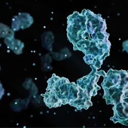 A 3D rendered image of an antibody modeled after its Y-shaped protein structure. A 3D rendered image of an antibody modeled after its Y-shaped protein structure.