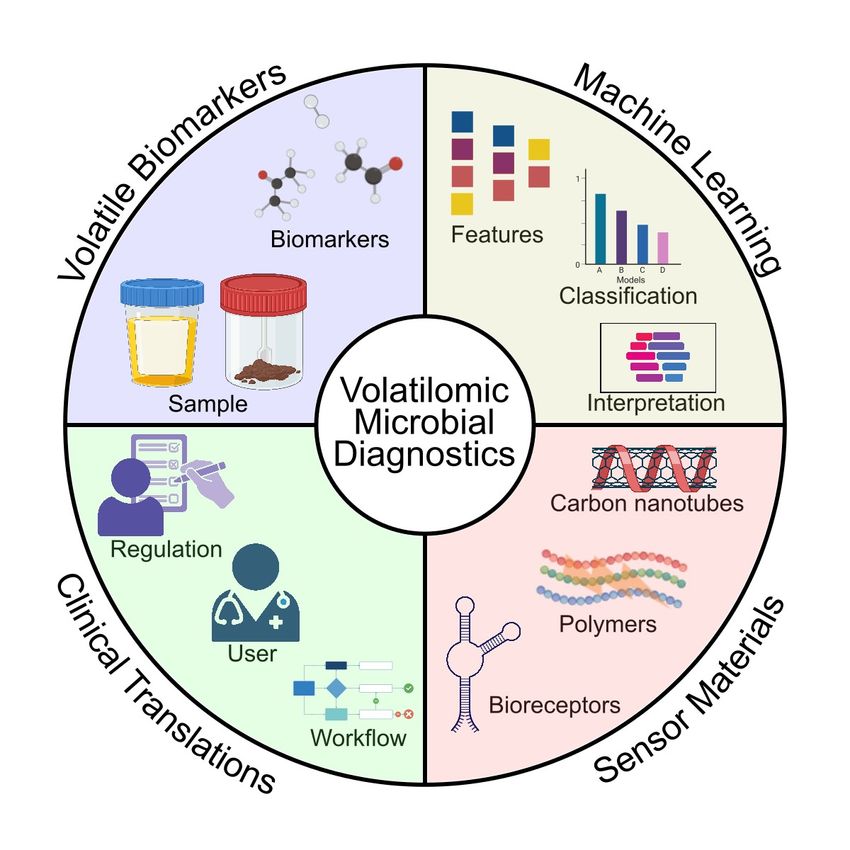 A schematic depicting the four components of microbial diagnostics using bacterial volatile compounds. A schematic depicting the four components of microbial diagnostics using bacterial volatile compounds.