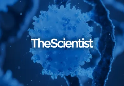 Precise Treatments through Cancer Genomics Precise Treatments through Cancer Genomics