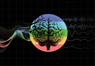 Illustrative image of soundwaves entering a brain on the left and coming out as brainwaves on the right