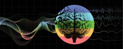 Illustrative image of soundwaves entering a brain on the left and coming out as brainwaves on the right