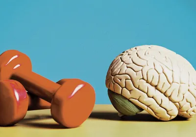 Image of exercise weights beside a brain