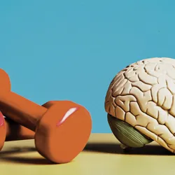 Image of exercise weights beside a brain Image of exercise weights beside a brain