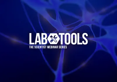 Evaluating Neurotoxicity Risks with Microelectrode Arrays Evaluating Neurotoxicity Risks with Microelectrode Arrays