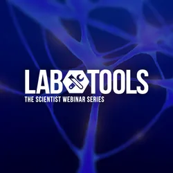 Evaluating Neurotoxicity Risks with Microelectrode Arrays