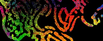 An abstract stream of colorful particles on a dark background, conceptually depicting spatial cellular analysis.