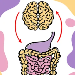 Illustrated image of a brain and the intestinal tract. There are two red arrows that point from one to the other. The background is white with colorful blobs of purple, pink, and yellow.