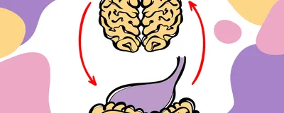 Illustrated image of a brain and the intestinal tract. There are two red arrows that point from one to the other. The background is white with colorful blobs of purple, pink, and yellow.