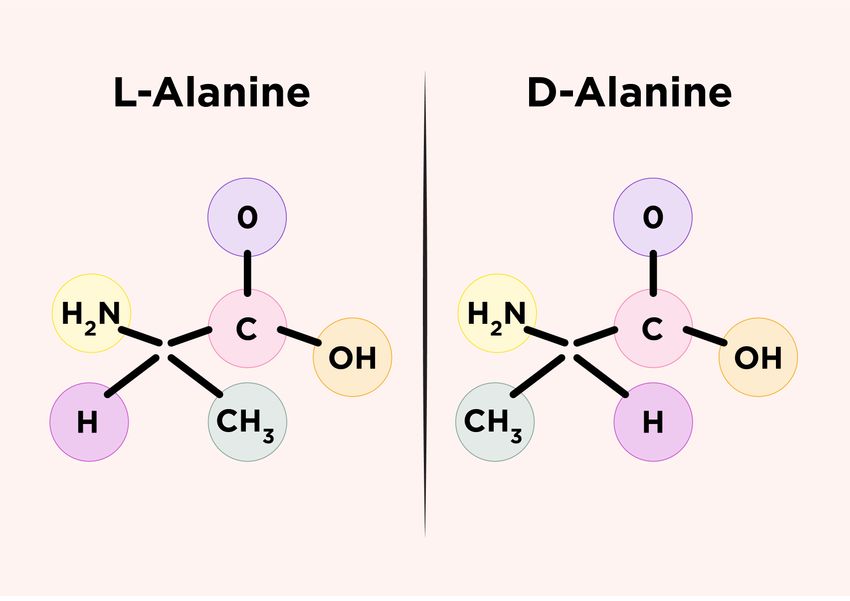 Stereochemistry models showing the chiral structure of L-alanine and D-alanine molecules.