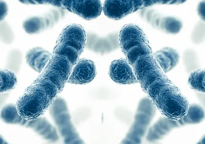 Blue bacterial cells next to their mirror microbe counterparts indicating mirror microbes.