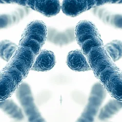 Blue bacterial cells next to their mirror microbe counterparts indicating mirror microbes. Blue bacterial cells next to their mirror microbe counterparts indicating mirror microbes.