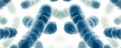 Blue bacterial cells next to their mirror microbe counterparts indicating mirror microbes. Blue bacterial cells next to their mirror microbe counterparts indicating mirror microbes.