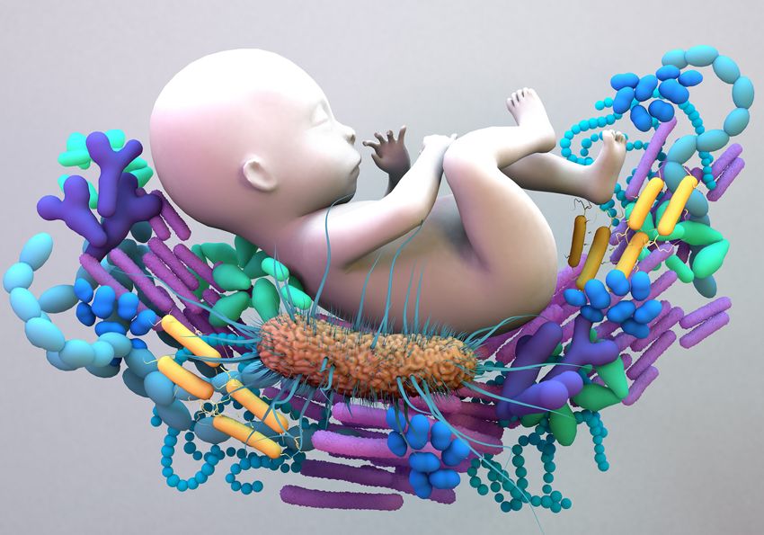 A baby surrounded microbial organisms, symbolizing the abundance and protective role of gut microbiome.