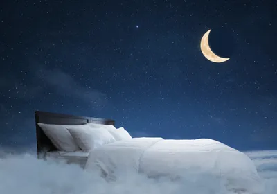 A bed with white sheets and pillows floats in the night sky, representing animals’ need for sleep—a reason for which scientists recently discovered. A bright yellow crescent moon is on the top right-hand side of the image. 