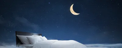 A bed with white sheets and pillows floats in the night sky, representing animals’ need for sleep—a reason for which scientists recently discovered. A bright yellow crescent moon is on the top right-hand side of the image. 