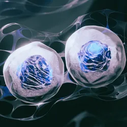 3D rendered stem cells surrounded by an extracellular matrix and fibroblast growth factor