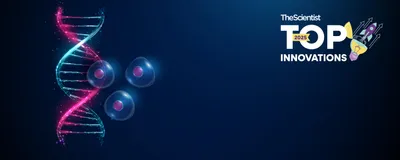 Single cells floating in front of a DNA double helix with one strand highlighted red, conceptually depicting single-cell RNA sequencing. Single cells floating in front of a DNA double helix with one strand highlighted red, conceptually depicting single-cell RNA sequencing.