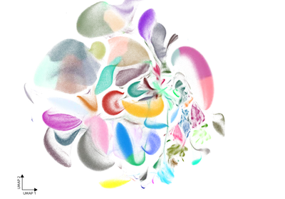 Photo of the Evercode WT Penta