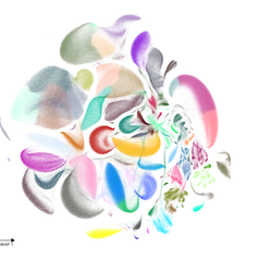 Photo of the Evercode WT Penta