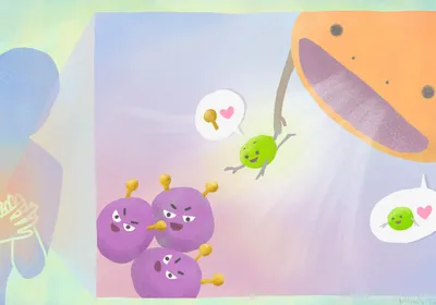 An illustration depicting the mechanism of the Crunch cell targeting system developed by researchers at Kyoto University. A blue silhouette of a person stands on the left. On the right is a magnified image of inside the body, where purple malignant cells have yellow proteins on their surface. A green adaptor protein depicted as being attracted to the yellow proteins is flying to the cells, while an orange phagocyte is attached to the adaptor protein.