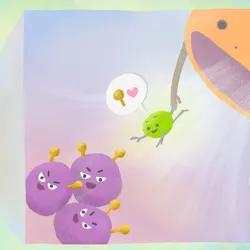 An illustration depicting the mechanism of the Crunch cell targeting system developed by researchers at Kyoto University. A blue silhouette of a person stands on the left. On the right is a magnified image of inside the body, where purple malignant cells have yellow proteins on their surface. A green adaptor protein depicted as being attracted to the yellow proteins is flying to the cells, while an orange phagocyte is attached to the adaptor protein.