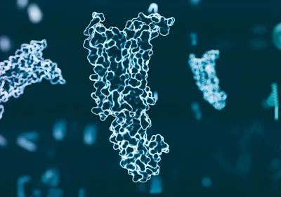 3D medical illustration of GLP-1 molecules 3D medical illustration of GLP-1 molecules