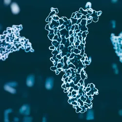 3D medical illustration of GLP-1 molecules 3D medical illustration of GLP-1 molecules