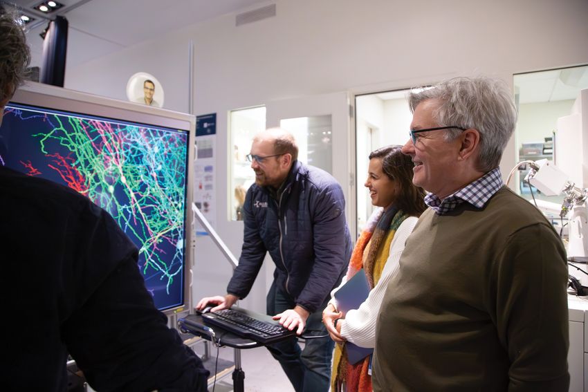 Photograph of Clay Reid (front, right) and members of his team at the Allen Institute reviewing reconstructions of neurons.