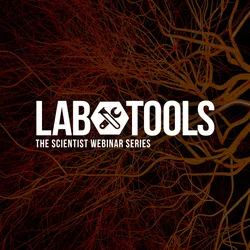 Building Advanced Cell Models Using New Approach Methodologies