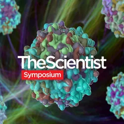 AAV Avenues for Cell and Gene Therapy