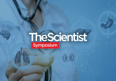 Organoids: A Key Tool for Drug Discovery