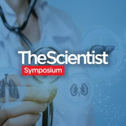 Organoids: A Key Tool for Drug Discovery