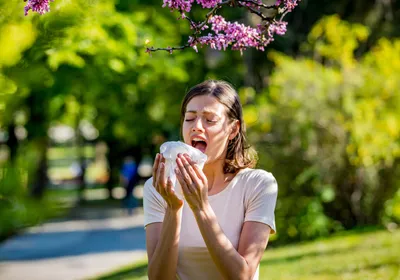 A woman sneezes into a tissue against a natural background A woman sneezes into a tissue against a natural background