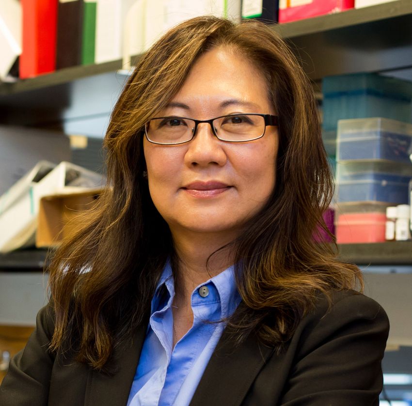 Ji-Yong Julie Kim, reproductive scientist at Northwestern University Feinberg School of Medicine, wears glasses and a blue shirt while standing in front of a laboratory bench.