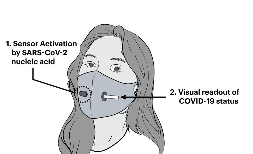 Illustration showing how a facemask sensor detects SARS-CoV-2 and displays COVID-19 status. Illustration showing how a facemask sensor detects SARS-CoV-2 and displays COVID-19 status.