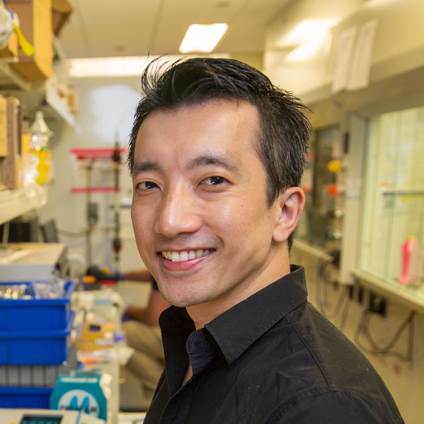 Headshot of synthetic biologist Peter Nguyen. Headshot of synthetic biologist Peter Nguyen.