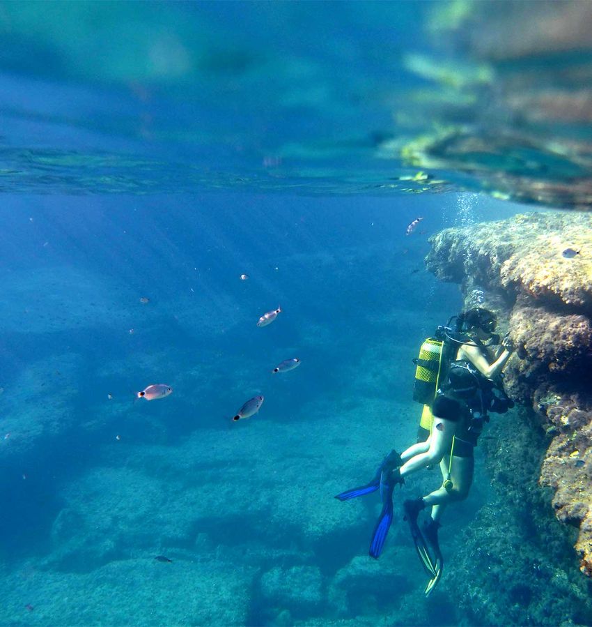 Maria Pascual-Torner and a colleague diving in water Maria Pascual-Torner and a colleague diving in water