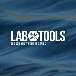 Currents of Cancer: Insights from Circulating Proteins