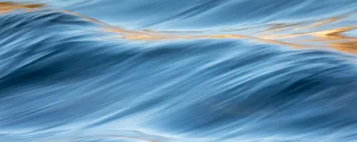 Currents of Cancer: Insights from Circulating Proteins Currents of Cancer: Insights from Circulating Proteins