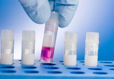 A researcher picking up a cryovial for cell culture and transfection A researcher picking up a cryovial for cell culture and transfection