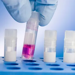 A researcher picking up a cryovial for cell culture and transfection