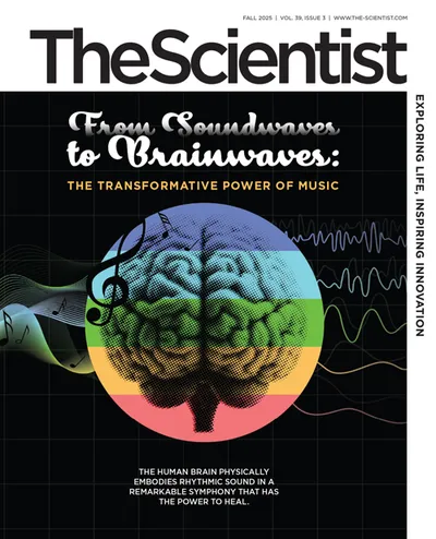 Fall 2025 cover Fall 2025 cover