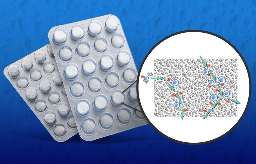 An image of Takara Bio USA’s Lenti-X T-Cell Transduction Sponge, zooming in on its macropores and showing how T cells and viruses move through the sponge.